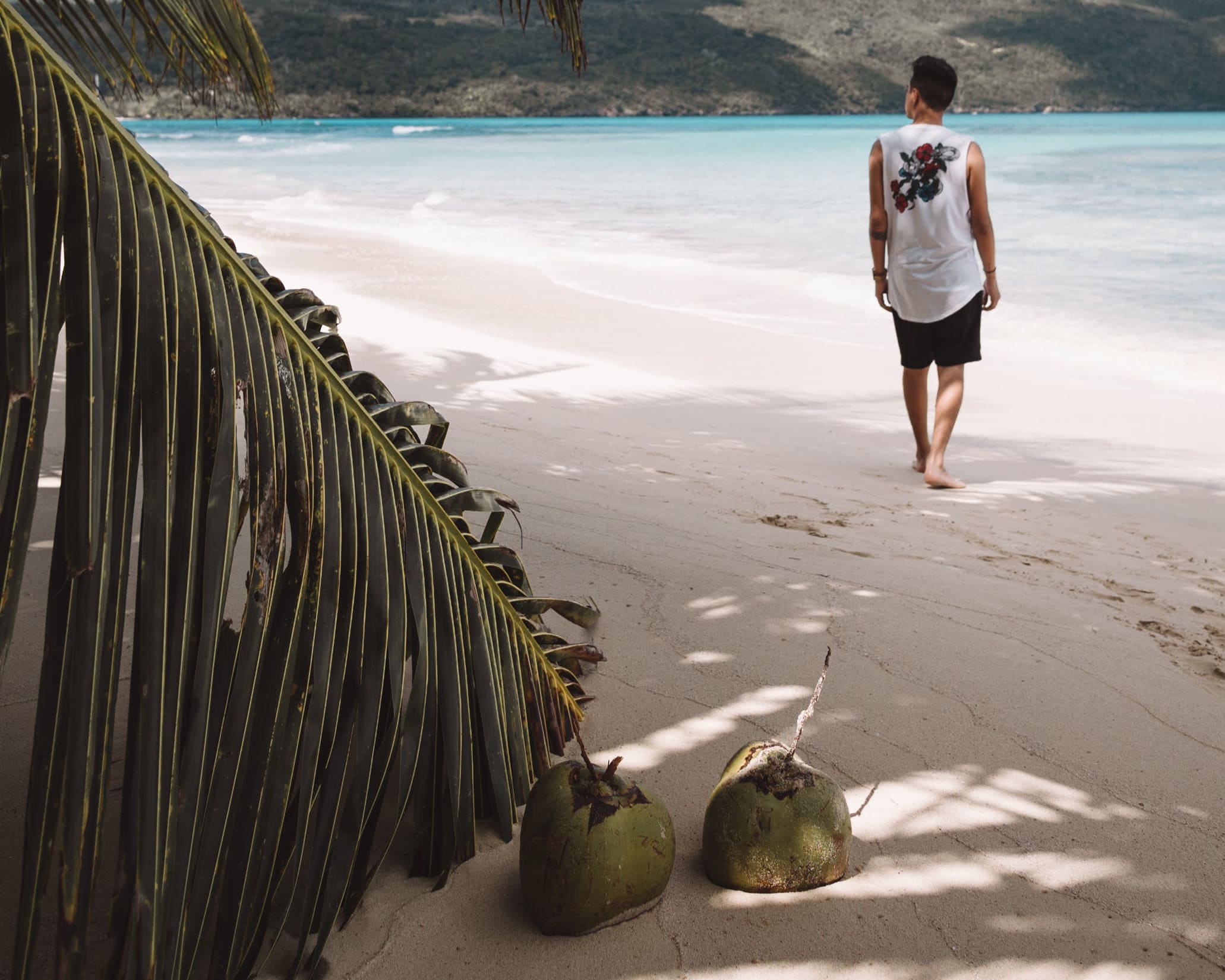 cocos playa